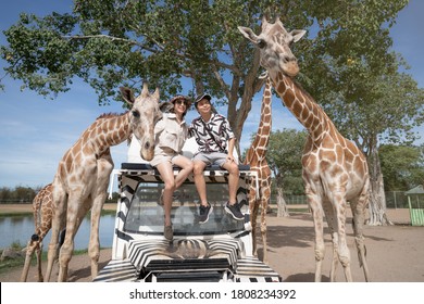 Couple taking a bus tour, feeding and playing with giraffe on safari open park zoo.