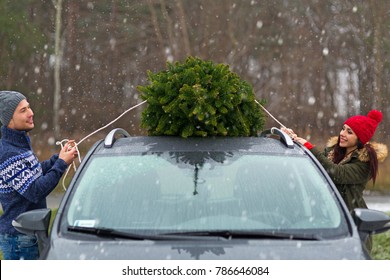 Couple With Their Christmas Tree On Roof Of The Car