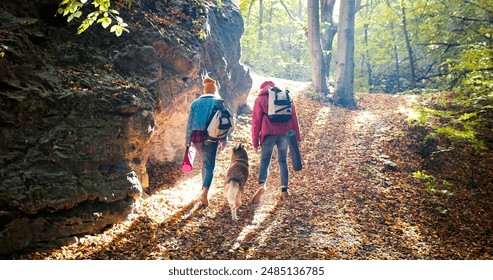 Couple of tourists go hiking in forest with dog in autumn morning. People walk with pet in wood covered with yellowed leaves. - Powered by Shutterstock