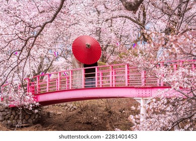 couple traveller with a red umbrella and walking over the bridge with Fuji mountain and Sakura flower background in Tokyo city, Japan - Powered by Shutterstock