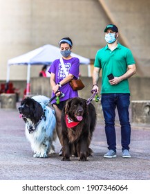 A Couple With Two Huge Cute Dogs In Front Of Me City Hall. It Was During A Democratic Campaign In Front Of Dallas City Hall. Dallas,10.10.2020.