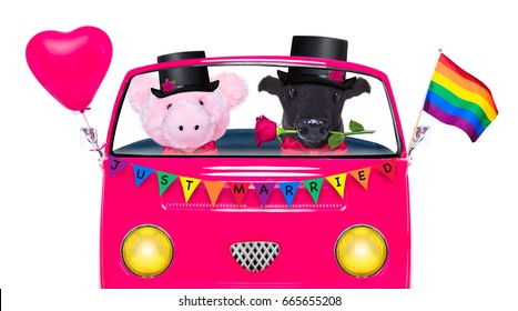 Couple Of Two Same Sex Animals Driving  A  Pink Car Or Van Just Married, On Gay Pride Day Or Csd