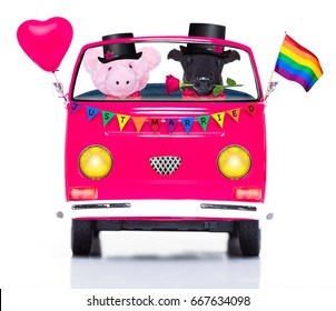 Couple Of Two Same Sex Animals Driving  A  Pink Car Or Van Just Married, On Gay Pride Day 