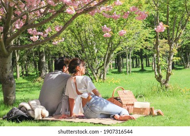 couple under the cherry blossom tree - Powered by Shutterstock