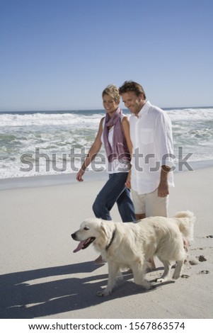 Similar – Strandhund