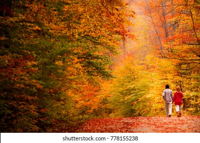 Automne Hd Stock Images Shutterstock