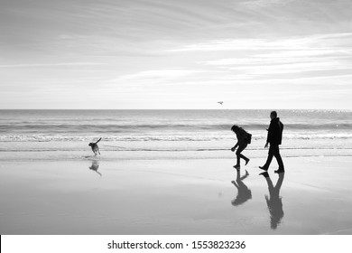 Couple Walking On The Beach With Dog