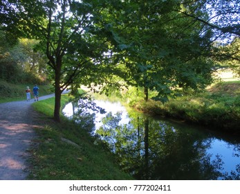 Couple walking on path between vegetation and trees in spring, on the lake.

