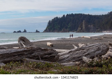 Couple Walking On Rialto Beach On The Pacific Coast In Olympic National Park