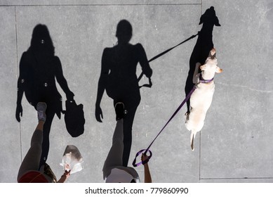 Couple walking on the street with the dog. Shot from above with long shadows - Powered by Shutterstock