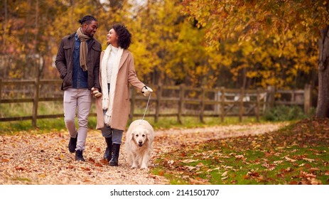 Couple Walking With Pet Golden Retriever Dog In Autumn Countryside - Powered by Shutterstock