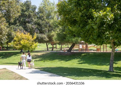 A Couple Walking Their Dog In A Community City Public Park