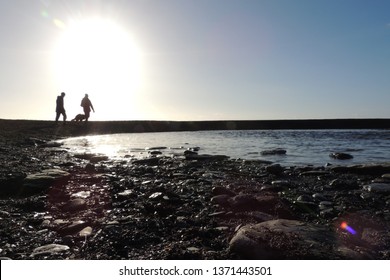 A Couple Walking Their Dog On The Beach In Seaton In Cornwall On A Bright Winter Afternoon