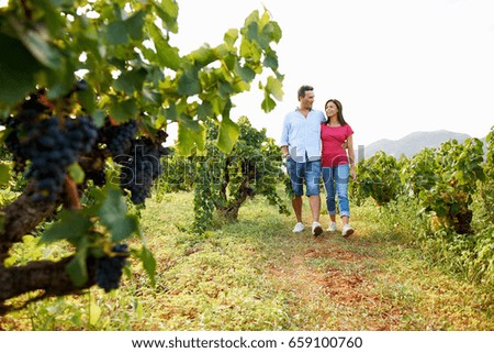 Similar – Image, Stock Photo Vineyards #2