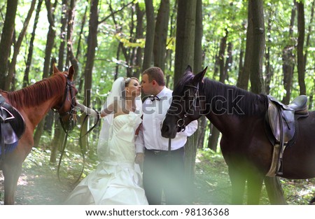 Similar – sunset with Two horses in a meadow