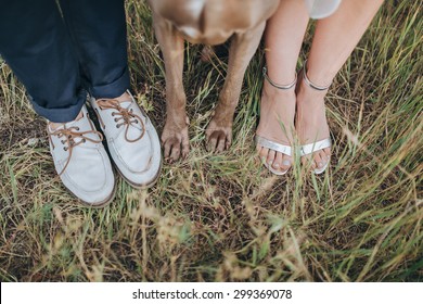couple in wedding attire and hunting dog breed are in the field at sunset