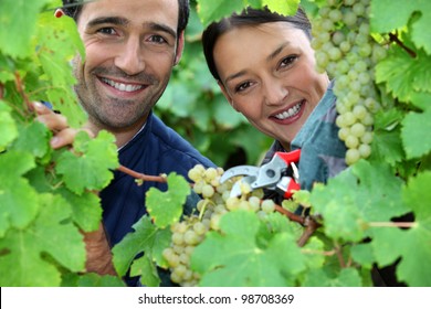 couple of wine-growers all smiles amid vineyards - Powered by Shutterstock