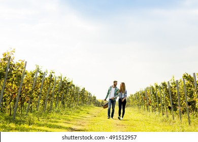 Couple of winegrowers walking in vineyard