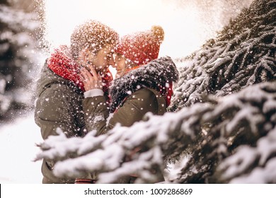 Couple In Winter By The Fir Tree Under Falling Snow