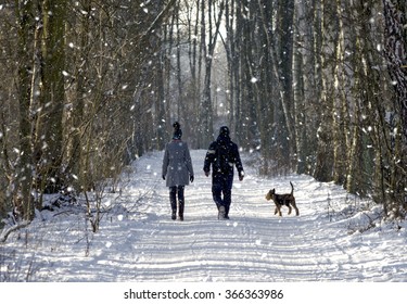 couple in the winter woods on a walk with the dog
