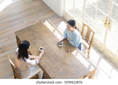 Couple Of Woman Meeting In Modern Room. High Angle View. Coffee Break.