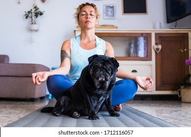 Couple Of Woman And Pug Doing On The Floor Together - Adult Fermale Doing Exercise Like Yoga And The Dog Is Looking At The Camera Quarantine Mood Bored And Being Healthy And Fit