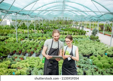 Couple of workers in uniform using digital tablet working with plants in the greenhouse of the plant shop