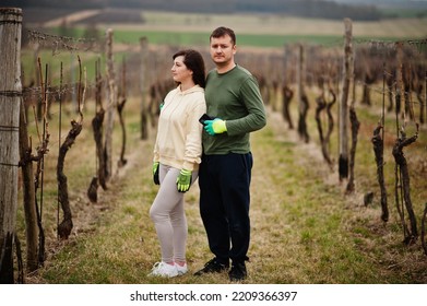 Couple Working On Vineyard In Early Spring.