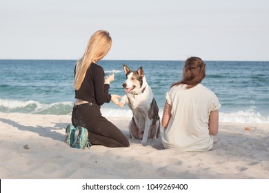 couple of young beautiful girls play with dog on the sunny beach - Powered by Shutterstock