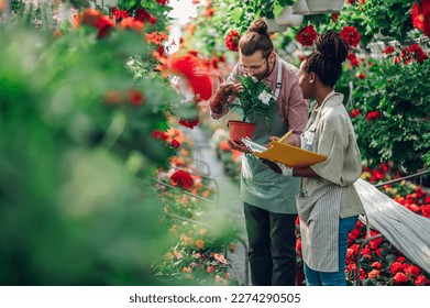 Couple of young diverse florists working together inside their plant nursery and using clipboard. Diverse gardeners cultivating flower plants potted in a greenhouse. Focus on a man smelling flowers. - Powered by Shutterstock