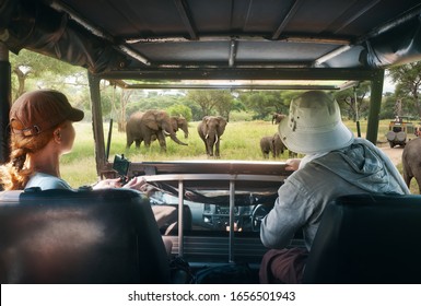 Couple Young People Watch Wild Elephants On Safari Tour In National Park In Africa