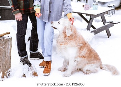 Couple Of Young Woman And Man Having Fun With Labrador Retriever Dog In Courtyard Of Suburban House In Winter, Concept Of Christmas And New Year Vacation On Farm, Family Love And Support