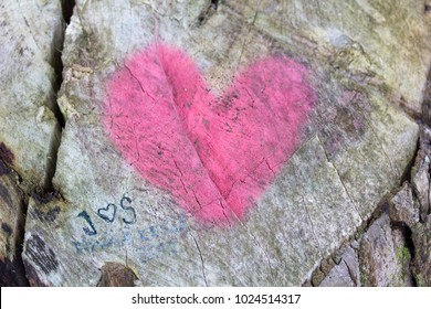 Couple's Initials Carved And A Heart Painted In A Tree Stump