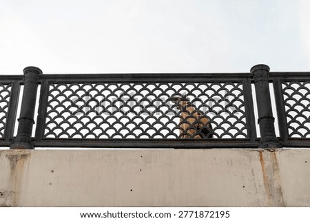 Courier Leaning Over Patterned Bridge Railing, Bright Jacket And Backpack Contrast With Pale Sky, Posture Suggests Quick Route Check And Onward