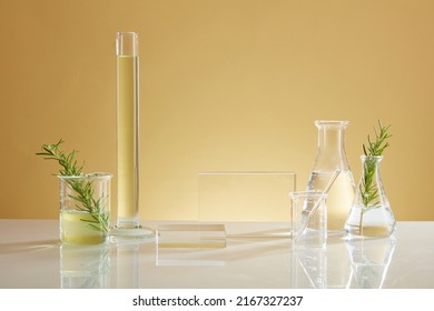 Course of research on green leaf , development of nature biotechnology , laboratory equipment glassware with transparent podium blank space for product , photography science content - Shutterstock ID 2167327237