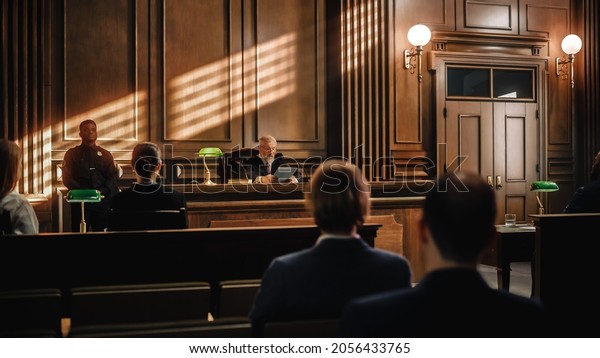 Court of Justice Trial:\
Impartial Judge and Public are Sitting, Listening. Supreme Federal\
Court Judge Starts Civil Case Hearing. Sentencing Law\
Offender.