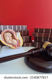 Court And Surrogacy And Fetus Of Child Closeup. Court Legal Concept Of Abortion Law