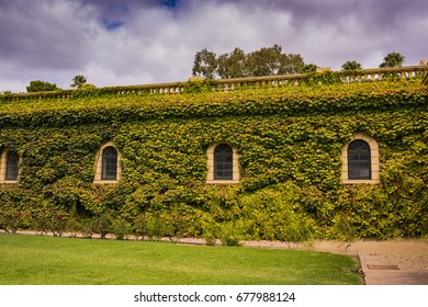 Courtyard At Seppeltsfield Winery, Barossa Valley, South Australia