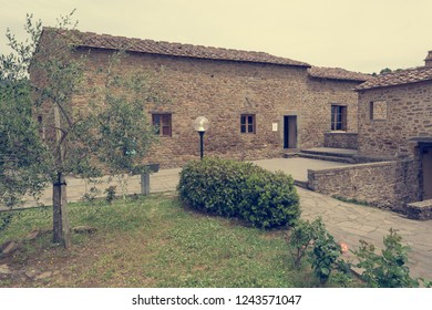 Courtyard of traditional stone build farm house with olive tree.