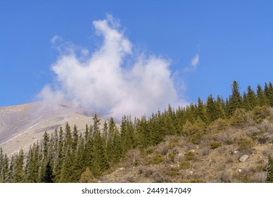 Covered by a pine forest, the slope of the mountain in early spring against the backdrop of a blue sky. Tien Shan firs are coated with silvery hoarfrost. A contrasting landscape of mountain vegetation - Powered by Shutterstock