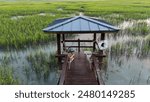 Covered dock in the marsh