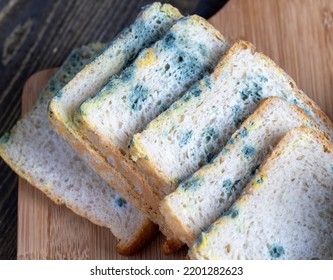 Covered with green mold, spoiled toast bread, spoiled food covered with mold - Shutterstock ID 2201282623