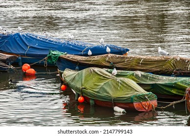 Covered punt flat bottom river wooden boats on river Thames waters in Richmond, London