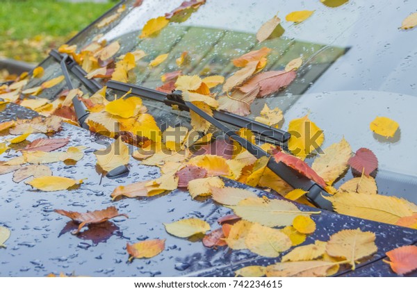 covered with\
sheets of automotive glass,\
autumn