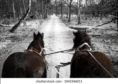 Covered wagon with horses on a dirt road