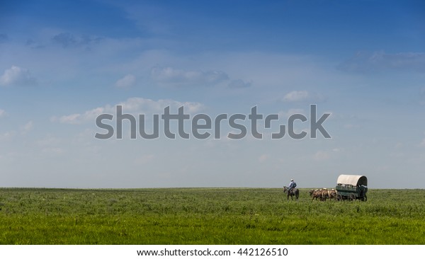 Covered Wagon on the\
Flint Hills of Kansas