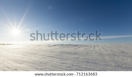 covered with white snow agricultural field in the winter season. Landscape with a blue sky and a bright sun on a winter frosty day