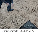 covering of the lawn sowing with textiles to ensure a large slope against erosion. using brown jute fabric stabilizing coconut net for steep slopes. in heavy rain the soil does not leach out