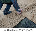 covering of the lawn sowing with textiles to ensure a large slope against erosion. using brown jute fabric stabilizing coconut net for steep slopes. in heavy rain the soil does not leach out