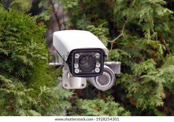 Covert video surveillance. CCTV security camera\
or radar for monitoring the speed of cars mounted among the trees.\
Video equipment for safety system area control outdoor, technology\
concept.